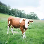 Bio Ferienbauernhof Voss *