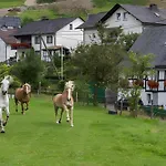 Bio Ferienbauernhof Voss Apartamento Schmallenberg