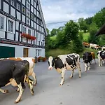 Bio Ferienbauernhof Voss Apartment