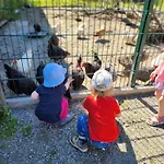 Bio Ferienbauernhof Voss