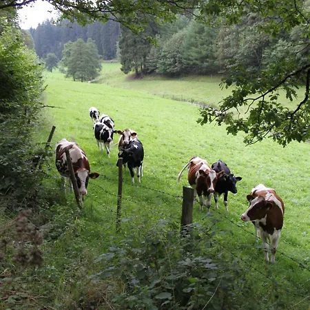 Bio Ferienbauernhof Voss *