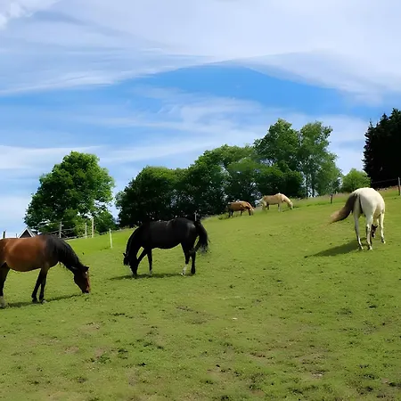 Bio Ferienbauernhof Voß