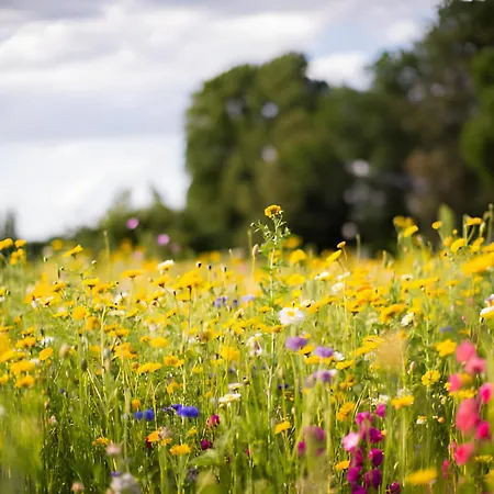 Bio Ferienbauernhof Voß Apartment Schmallenberg