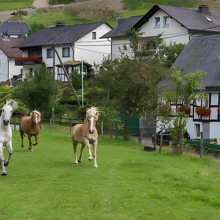 Bio Ferienbauernhof Voß Apartment Schmallenberg