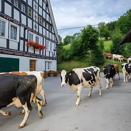 Bio Ferienbauernhof Voss Apartament