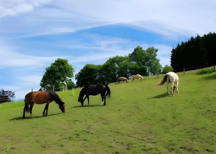 Apartment Bio Ferienbauernhof Voss *