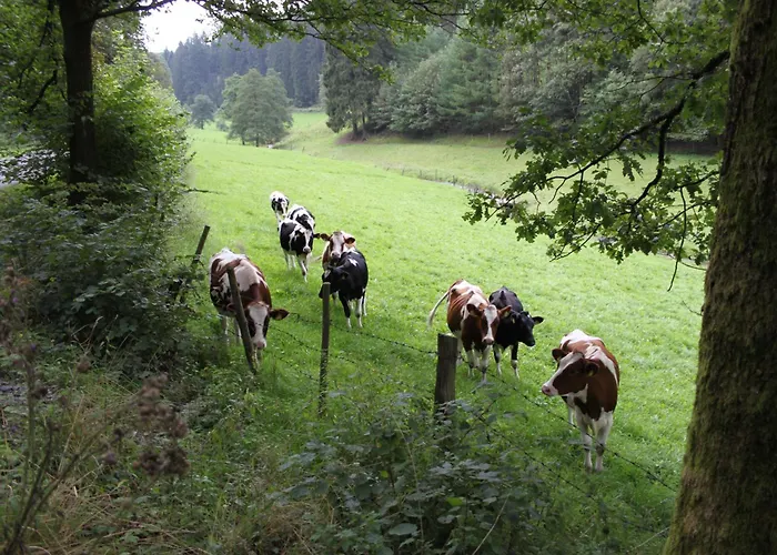 Bio Ferienbauernhof Voss *