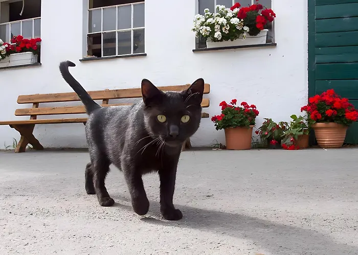 Apartment Bio Ferienbauernhof Voss *