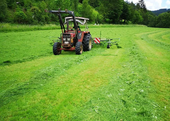 Bio Ferienbauernhof Voss *