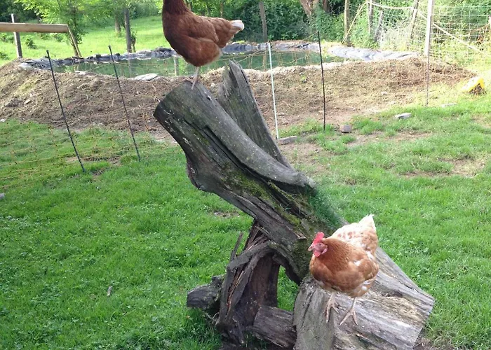 Apartment Bio Ferienbauernhof Voss