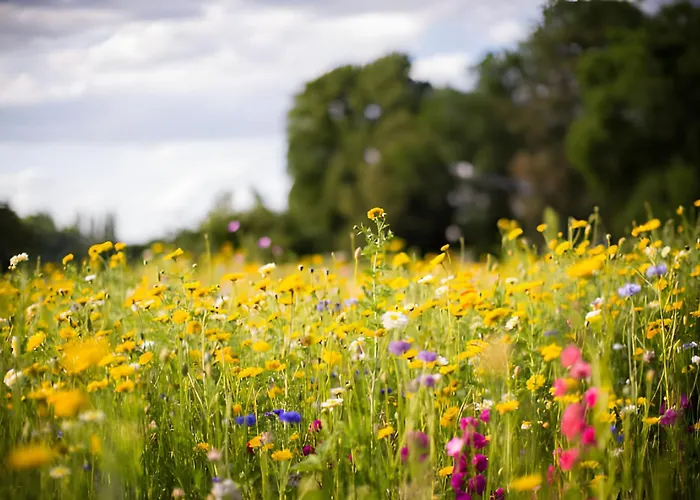 Bio Ferienbauernhof Voss Apartment Schmallenberg