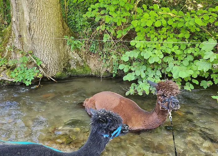 Bio Ferienbauernhof Voss Apartment *