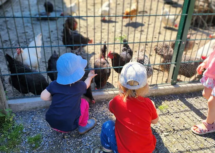 Bio Ferienbauernhof Voss * Schmallenberg