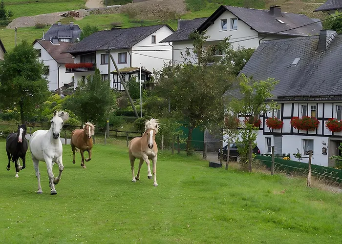 Bio Ferienbauernhof Voss Apartment Schmallenberg